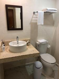 巴利亚多利德Hotel Boutique Bugambilias的一间带水槽、卫生间和镜子的浴室