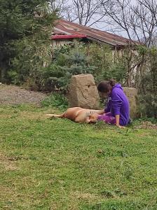 BalçıklıEkolojik Güney Köy Pembe Köşk的 ⁇ 狗的女人