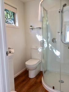 瓦纳卡Art Glass Studio的一间带卫生间和玻璃淋浴间的浴室