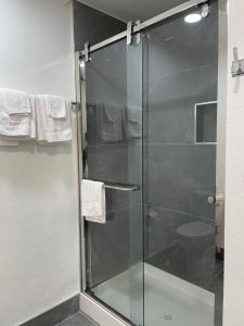 圣布鲁诺Ritz Inn-San Francisco Airport SFO的浴室里设有玻璃门淋浴