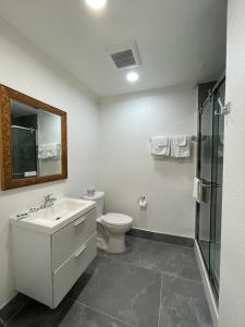 圣布鲁诺Ritz Inn-San Francisco Airport SFO的浴室配有卫生间、盥洗盆和淋浴。