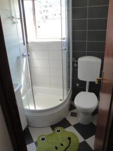 大德尔韦尼克Apartments Niki - 5m from the sea的浴室设有卫生间和淋浴,面部很奇妙
