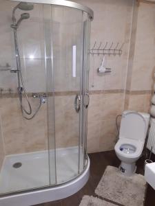 沃罗赫塔Guest House Dikiy Zrub的带淋浴和卫生间的浴室