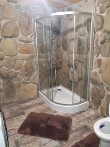 沃罗赫塔Guest House Dikiy Zrub的带淋浴的浴室(带石墙)