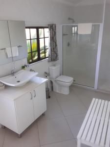 圣卢西亚St Lucia Eco Lodge的一间带水槽、卫生间和淋浴的浴室