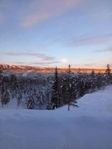 冬天的Mysig lägenhet med fjällutsikt i Sälen