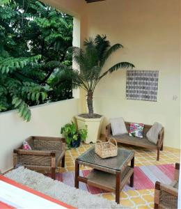 阿姆利则阿姆利则兰吉特斯瓦萨酒店的带沙发和棕榈树的客厅