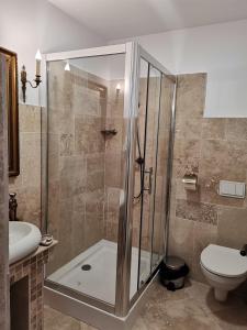 布拉索夫Weiss Little Palace的带淋浴、卫生间和盥洗盆的浴室