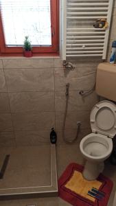 萨拉热窝Cozy room with a bathroom的一间带卫生间、窗户和淋浴的浴室
