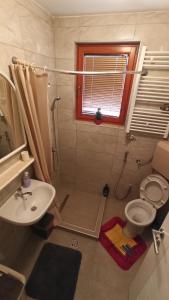 萨拉热窝Cozy room with a bathroom的一间带水槽和卫生间的浴室以及窗户。