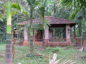 萨格尔Sugamya Farm Guesthouse的棕榈树花园中的一个小房子