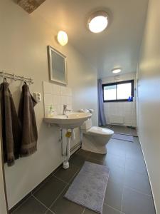 HultHults-Boaryd Golf och B&B的一间带水槽和卫生间的浴室