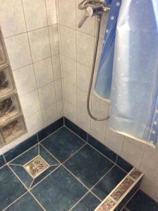 凯斯特海伊艾洛娜凯斯里畔译欧酒店的浴室铺有蓝色瓷砖地板,设有淋浴。
