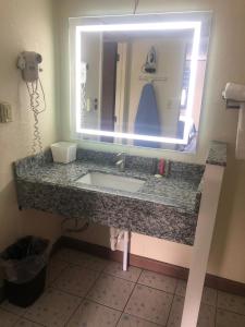 刘易斯堡Aderi Hotel Near Bucknell University的一间带水槽和大镜子的浴室