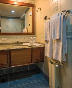 卡内拉塞拉内华达酒店的浴室配有盥洗盆、镜子和毛巾