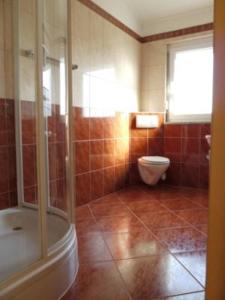 萨武德里亚Villa del Golfo的带淋浴和卫生间的浴室。