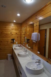 瓦纳卡阿尔塔蒙特旅舍的一间带两个盥洗盆和大镜子的浴室