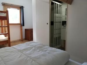 阿尔维厄les Balcons de l'Izoard - la Marmotte的一间卧室设有一张床和一个玻璃淋浴间