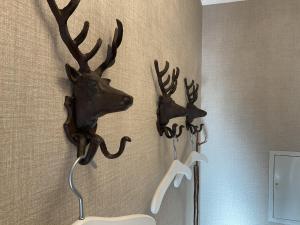 哈嫩克利博克斯维斯Luxus Ferienwohnung schöne Aussicht的挂在墙上的两只鹿头