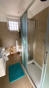 巴尔齐奥Cozy Apartment Barzio的一间带玻璃淋浴和卫生间的浴室