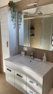巴尔齐奥Cozy Apartment Barzio的浴室配有白色水槽和大镜子