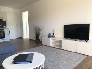 施利尔塞Apartment Berg und See的客厅配有白色橱柜上的平面电视