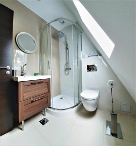 锡纳亚Casa Varful Cu Dor的带淋浴、卫生间和盥洗盆的浴室
