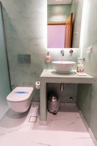 提诺斯蒂诺斯克拉里公寓式酒店的一间带水槽、卫生间和镜子的浴室