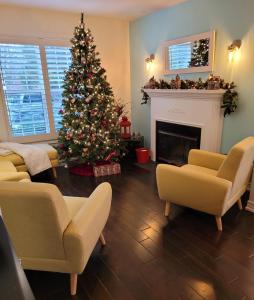滨湖尼亚加拉La Maison de Sophie的客厅配有圣诞树和壁炉