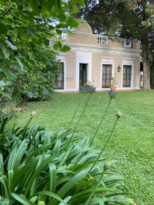 卢汉Don Aniceto - Suites de Campo的草丛中的房子