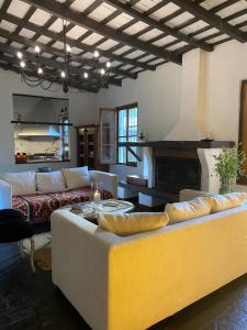 卢汉Don Aniceto - Suites de Campo的带沙发和壁炉的客厅