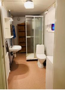 林德斯贝里Setons Stuga的带淋浴、卫生间和盥洗盆的浴室