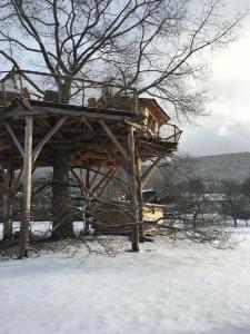 圣迪耶Gaïa - Les Cabanes du Chêne Rouvre的雪中木结构,有树