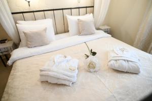 诺维萨德加尔尼丹什酒店的酒店客房的床上配有2条毛巾
