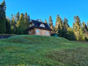 布科维纳-塔钱斯卡Alpinka的草山顶上的一个小房子