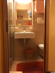 克舍尔沃尔特劳德加尼酒店的一间带水槽和卫生间的浴室