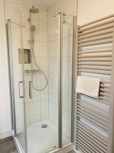 施特拉尔松德菲林蒙科49公寓的浴室里设有玻璃门淋浴