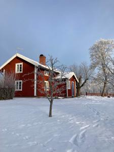 韦纳穆斯图加林恩那不勒坦度假屋的一座红色的房子,地面上积雪