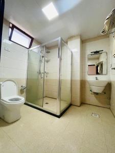 巴赫达尔Winn Hotel - Bahir Dar的一间带玻璃淋浴和卫生间的浴室