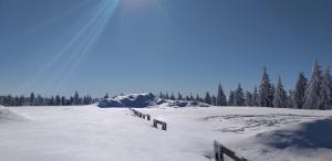 布赖滕布伦Pension Berghof的覆盖着雪地的围栏和树木