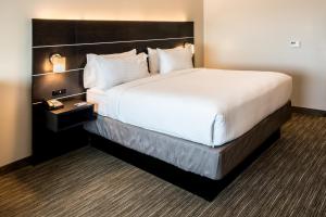北奥古斯塔南卡罗来纳州北奥古斯塔智选假日酒店的酒店客房设有一张大床和大型床头板