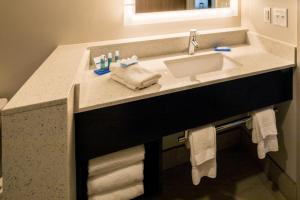 北奥古斯塔南卡罗来纳州北奥古斯塔智选假日酒店的浴室的柜台设有水槽和镜子