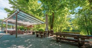 Gorenjcj扬科维奇露营地的一群长椅,在树木繁茂的公园里