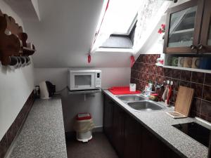 斯塔雷梅斯托Penzion pod Paprskem的一间带水槽和微波炉的小厨房
