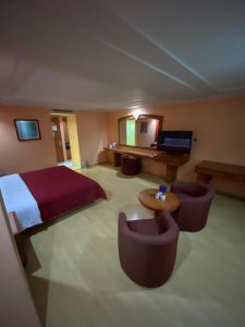 墨西哥城HOTEL MARIA RICO的酒店客房,配有一张床和两把椅子
