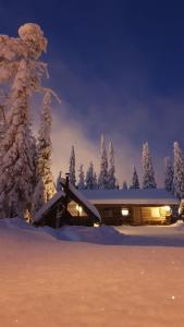 鲁卡Ruka Inn的雪中小屋,有雪覆盖的树木