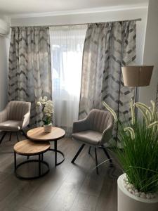 萨图马雷SOLE Apartment 1的客厅配有两把椅子、一张桌子和一扇窗户