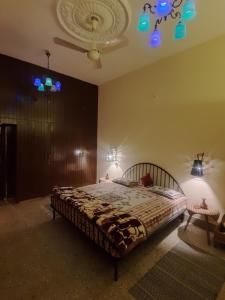 斋浦尔Home of the world的一间卧室设有一张床,天花板上设有两盏灯。