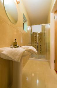 香农河畔卡里克埃斯利旅馆的一间带水槽和淋浴的浴室
