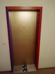 弗莱堡维格森布里克奥特捷恩酒店的房间里的木制电梯门